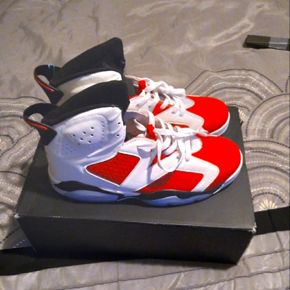 Jordan Carmine 6's